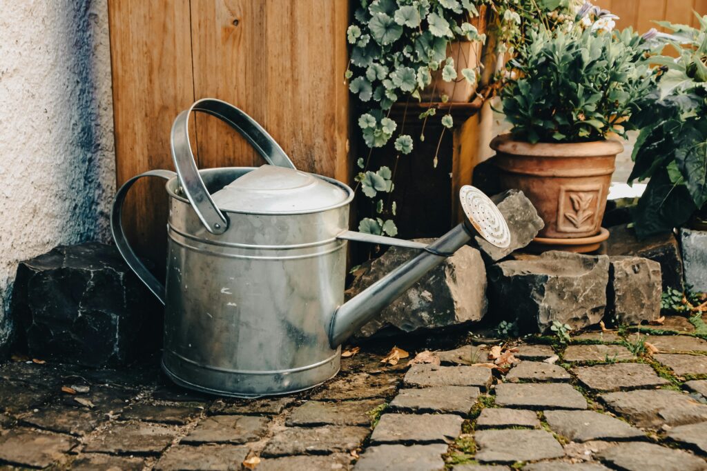 A rustic garden scene featuring a watering can placed on cobblestones with potted plants in the background.