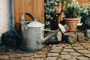 A rustic garden scene featuring a watering can placed on cobblestones with potted plants in the background.
